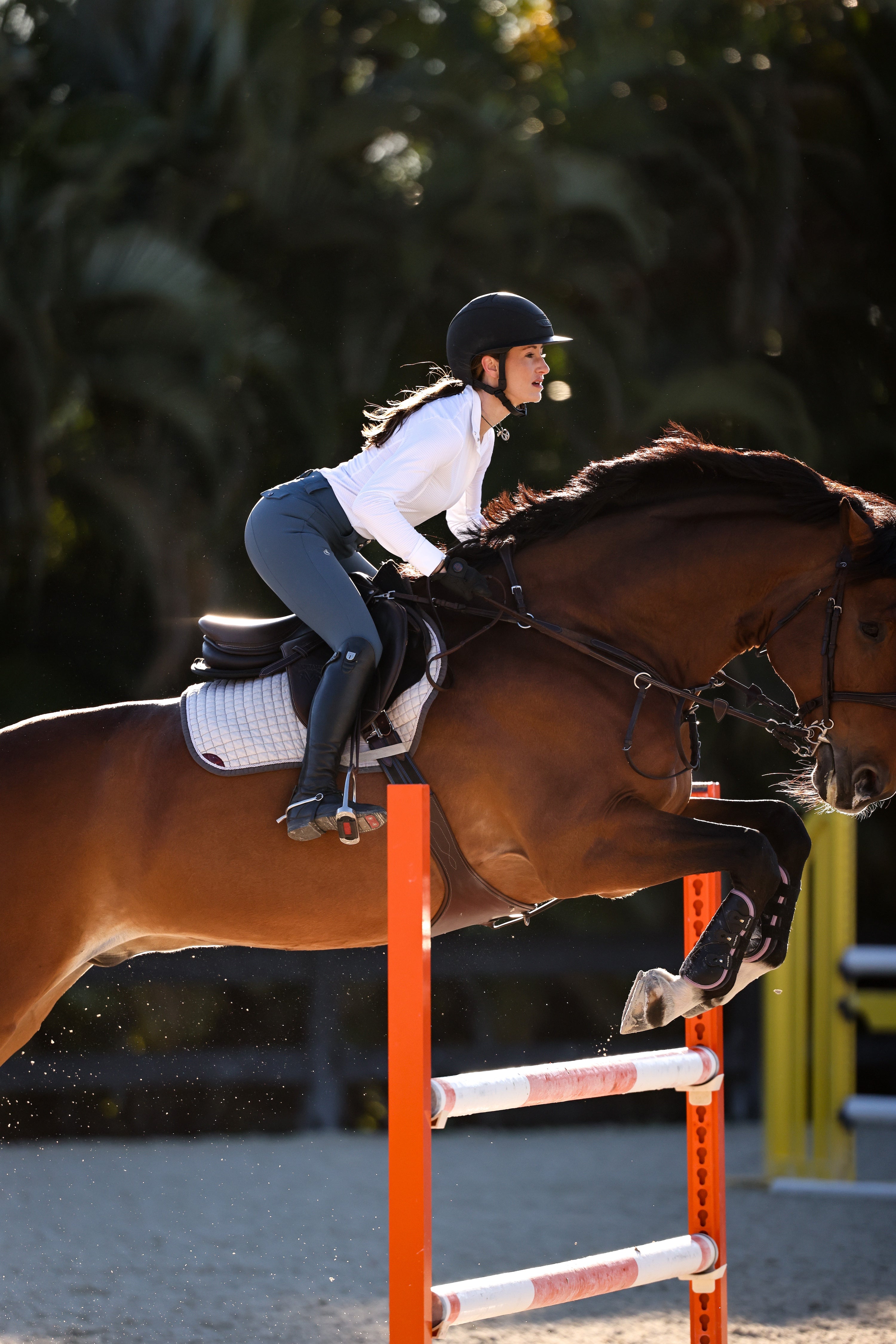 Helen Show Shirt | Snow White CriniereLife 
